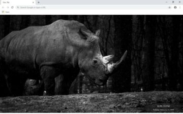 Rhino New Tab & Wallpapers Collection