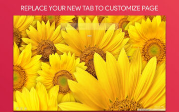 Sunflower Wallpaper HD Custom New Tab