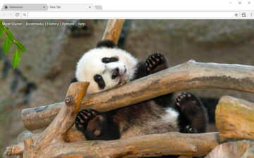 Pandas HD Wallpapers Panda New Tab Theme