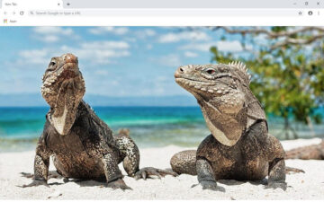 Iguana Wallpapers and New Tab