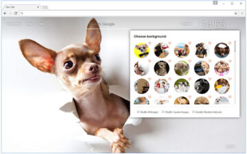 Chihuahua Dogs Custom New Tab - freeaddon.com