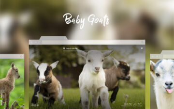 *NEW* Baby Goats HD Wallpapers New Tab Theme