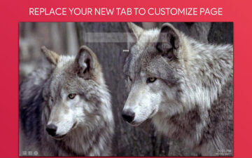 Wolf Wallpaper HD Custom New Tab