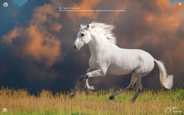 White Horses HD Wallpapers New Tab Theme