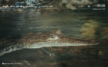 Alligator Wallpaper HD New Tab Theme