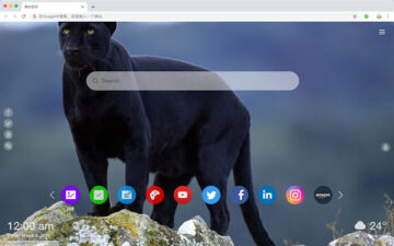 Tiger Popular Animals HD New Tabs Theme