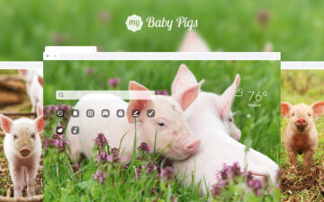 My Baby Pigs - Cute Baby Pig HD Wallpapers