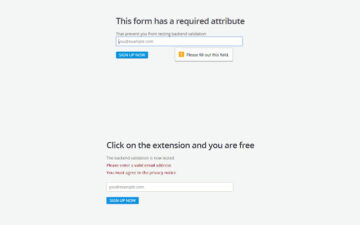 HTML5 Form validation remover