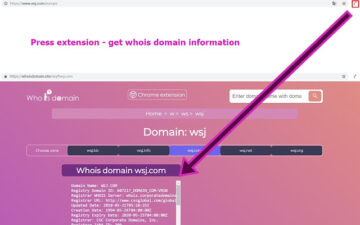 Whois domain lookup service