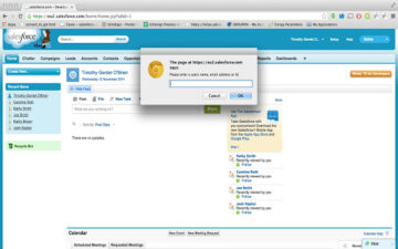 Salesforce User Search