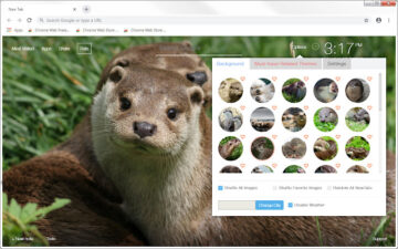 Otter Wallpapers Otters New Tab freeaddon.com