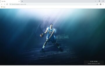 New Orleans Hornets New Tab Theme