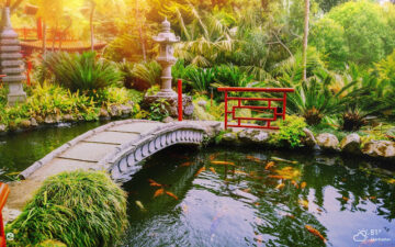 Japanese Garden HD Wallpapers New Tab