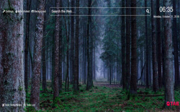 Forest Wallpapers for New Tab