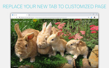 Cute Bunny & Rabbit Wallpapers Custom New Tab