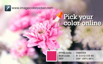 Image Color Picker - Pick your color online