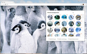 Penguin Wallpapers HD Custom Penguins New Tab