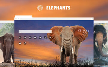 Elephant HD Wallpaper New Tab Theme