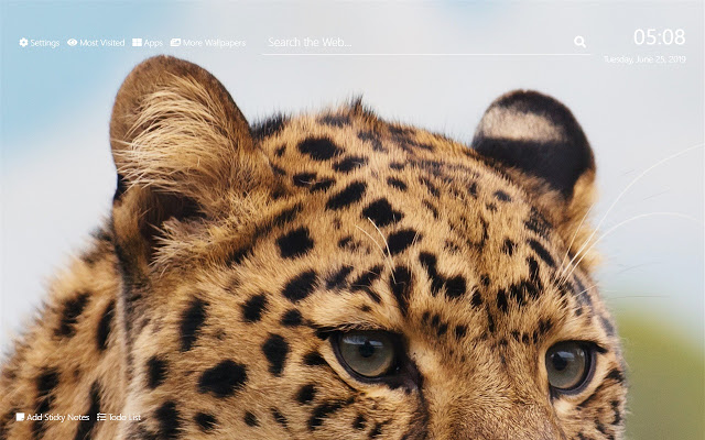 Snow Leopard Wallpaper Hd New Tab Theme Browser Addons Google Chrome Extensions