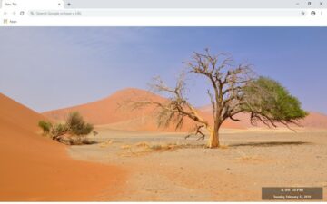 Deadvlei New Tab & Wallpapers Collection