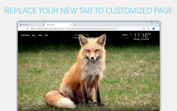 Fox Wallpapers Foxes New Tab by freeaddon.com