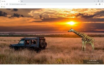 Giraffe New Tab & Wallpapers Collection