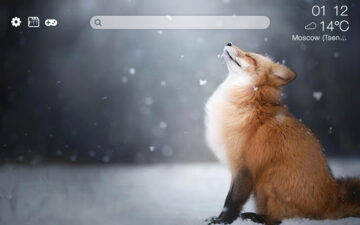 Foxes HD new free tab theme