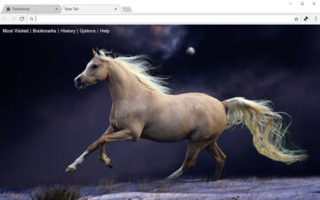 Horses HD Wallpapers Horse New Tab Theme