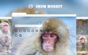 Snow Monkey HD Wallpapers New Tab Theme