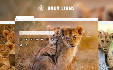 Baby Lions HD Wallpaper New Tab Theme
