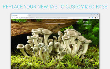 Mushroom Wallpaper HD Custom Mushrooms NewTab