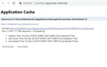 View Browser Application Cache
