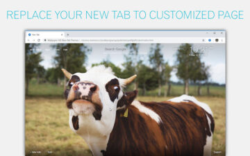 Cow Backgrounds Cows New Tab by freeaddon.com
