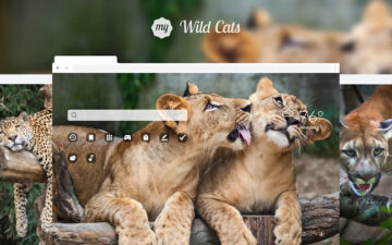 My Wild Cats – HD Wallpaper New Tab Theme