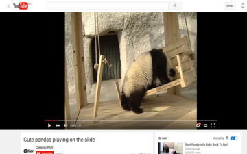 Panda Controls