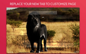 Lion Wallpaper HD Custom New Tab