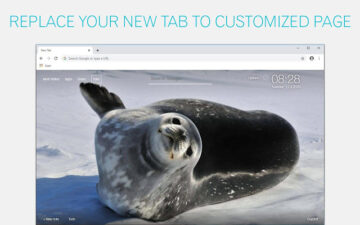 Seal Wallpapers Seals New Tab - freeaddon.com