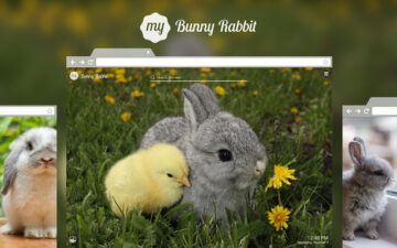 My Bunny Rabbit HD Wallpapers New Tab Theme
