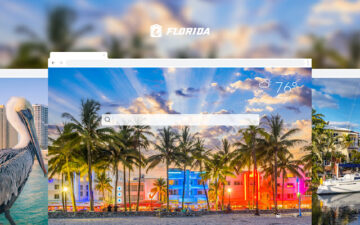 Florida HD Wallpapers New Tab