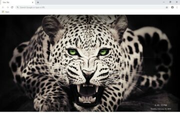 Cheetah New Tab & Wallpapers Collection