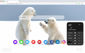 Polar Bear New Tab Page HD Wallpapers