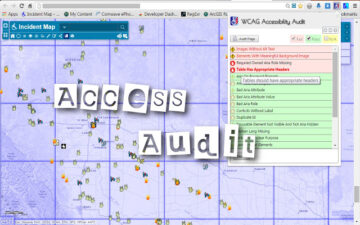 WCAG Accessibility Audit Developer UI