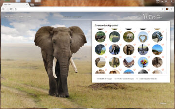 Elephant Wallpaper HD Custom Elephants NewTab