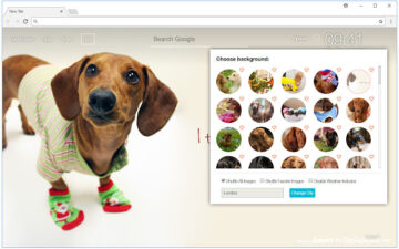 Dachshund Dogs Custom New Tab - freeaddon.com