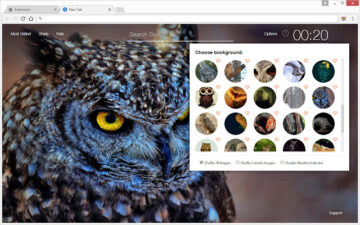 Owl Backgrounds Owls New Tab by freeaddon.com