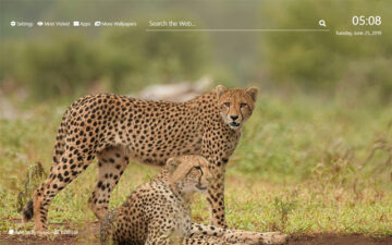 Cheetah Wallpaper HD New Tab Theme