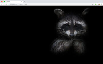 Raccoon New Tab Page HDPop Animals Theme