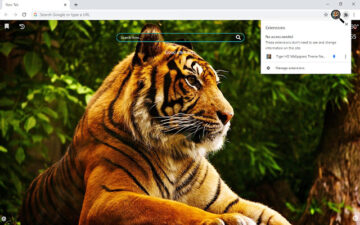Tiger HD Wallpapers Theme New Tab