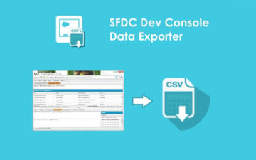 SDFC Dev Console Data Exporter