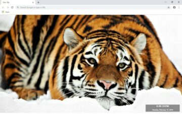 Tiger New Tab & Wallpapers Collection